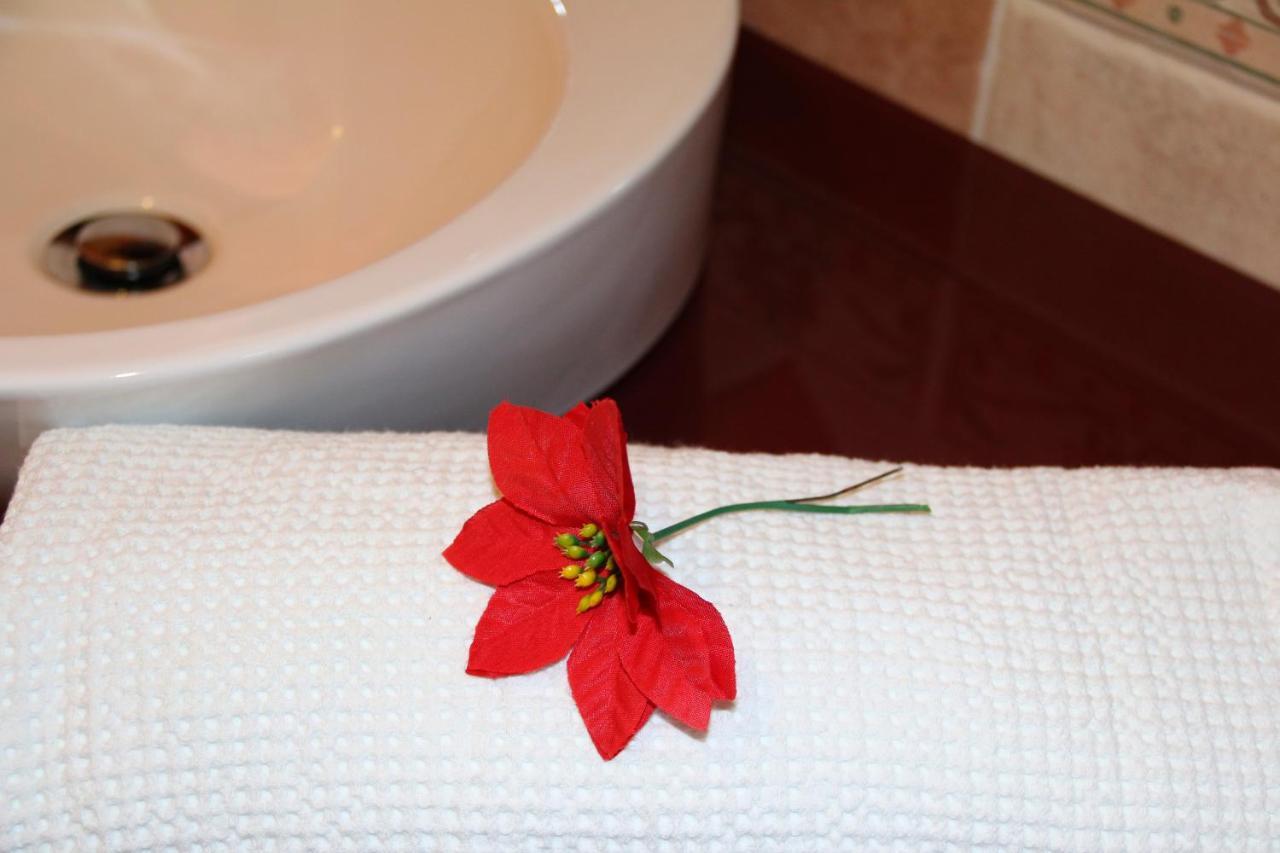 Sardinia Re Guest House 사사리 외부 사진